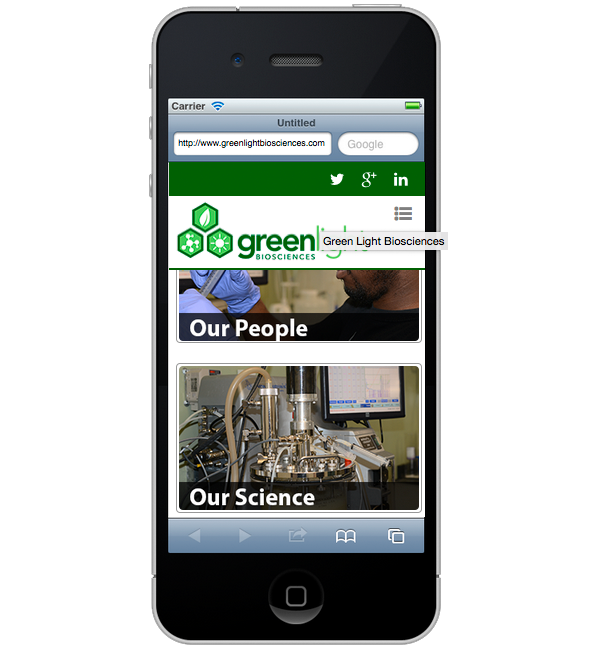 Boston Website Designer